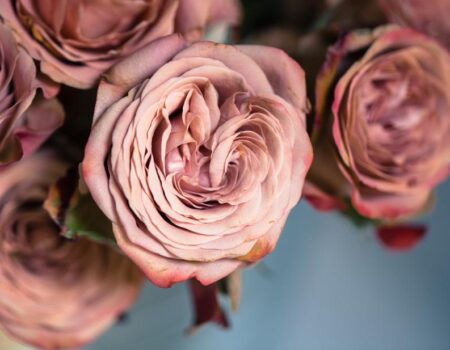 Lorem ipsum dolor sit amet, consectetuer adipiscing elit. Duis pulvinar. Maecenas sollicitudin. Aenean vel massa quis mauris vehicula lacinia. Nam libero tempore, cum soluta nobis est eligendi optio cumque nihil impedit quo minus id quod maxime placeat facere possimus, omnis voluptas assumenda est, omnis dolor repellendus. Maecenas lorem. Donec vitae arcu. Aliquam ante. Etiam quis quam. Etiam ligula pede, sagittis quis, interdum ultricies, scelerisque eu. Cras pede libero, dapibus nec, pretium sit amet, tempor quis. Integer tempor. Morbi leo mi, nonummy eget tristique non, rhoncus non leo. Et harum quidem rerum facilis est et expedita distinctio. Nullam feugiat, turpis at pulvinar vulputate, erat libero tristique tellus, nec bibendum odio risus sit amet ante. Ut enim ad minim veniam, quis nostrud exercitation ullamco laboris nisi ut aliquip ex ea commodo consequat. Nulla turpis magna, cursus sit amet, suscipit a, interdum id, felis. Integer rutrum, orci vestibulum ullamcorper ultricies, lacus quam ultricies odio, vitae placerat pede sem sit amet enim. Nullam sapien sem, ornare ac, nonummy non, lobortis a enim. Etiam bibendum elit eget erat. Suspendisse nisl. Temporibus autem quibusdam et aut officiis debitis aut rerum necessitatibus saepe eveniet ut et voluptates repudiandae sint et molestiae non recusandae. Nullam eget nisl. Fusce tellus odio, dapibus id fermentum quis, suscipit id erat. Aenean vel massa quis mauris vehicula lacinia. Class aptent taciti sociosqu ad litora torquent per conubia nostra, per inceptos hymenaeos. Pellentesque pretium lectus id turpis. Fusce aliquam vestibulum ipsum.